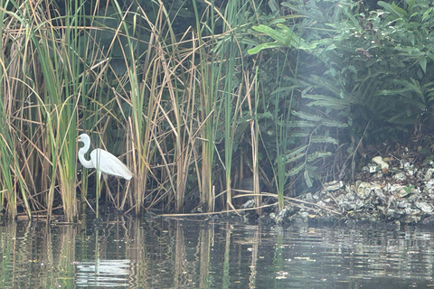 Bentota/Beruwala: Galle Fort, Koggala Lake & Kayaking Tour