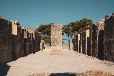 Desde Elounda: Palacios minoicos con visita a la bodega y a la playa de Matalalimusina | Vehículo de clase Premium o SUV de 3 plazas