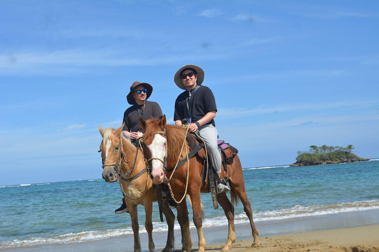 Puerto Plata: Luxury Horseback Riding and Beach Tour