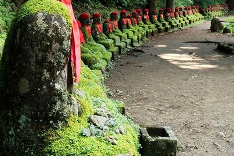 Nikko Private Day Tour From Tokyo Toshogu Shrine Kegon Fall In Luxury Mini Van Nikko Day Trip