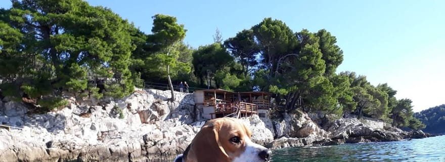 Cavtat : Visite guidée en kayak de mer