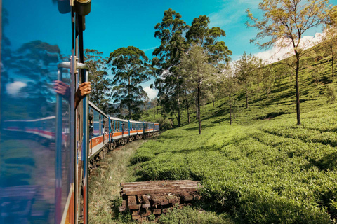 Kandy: Nuwara Eliya Scenic Train E-Ticket with Reserved Seat Kandy to Nanuoya Scenic Train 1st Class E-Ticket