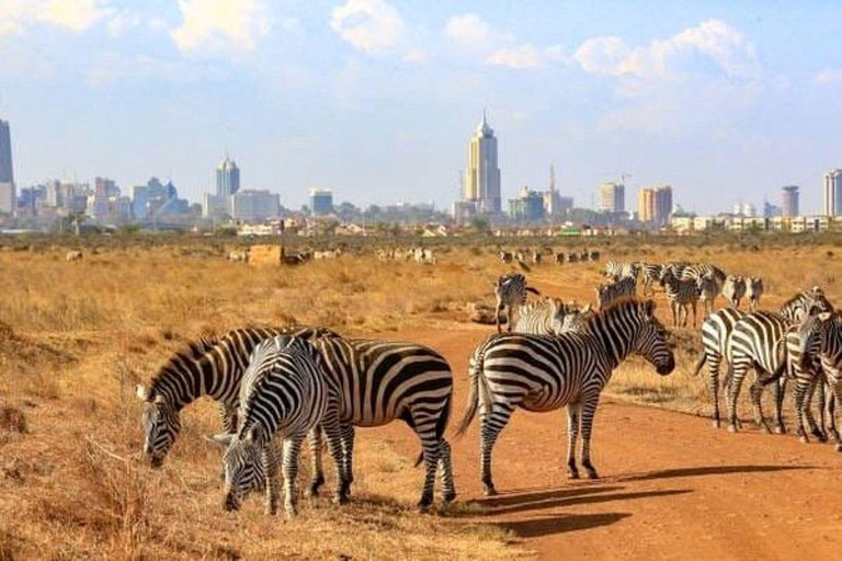 Nairobi National Park: Early Morning or afternoon adventure Early morning game drive in a Landcruiser JEEP