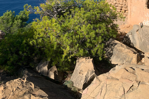 Serra Tramuntana : memorable easy hike with beautiful views