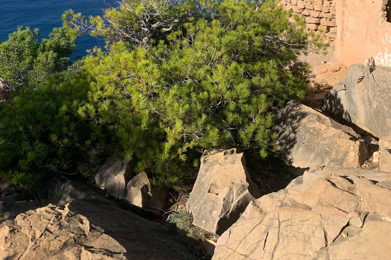 Serra Tramuntana: unvergessliche leichte Wanderung mit schönen Aussichten