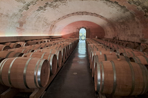 Introduction to Loire Anjou Wines - Afternoon tour