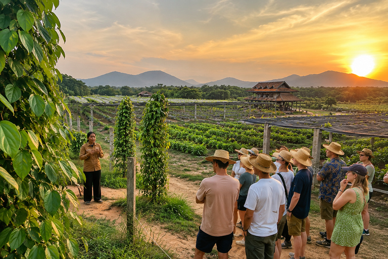 Kampot: Pepper Plantation Tour with Sunset Experience