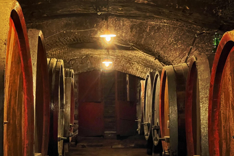 Florence: Horse ride 3h and Wine Tasting&Lunch at a castle
