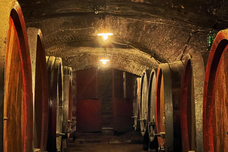 Florence: Horse ride 3h and Wine Tasting&Lunch at a castle
