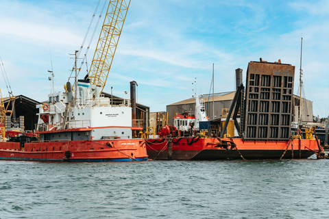 Port Adelaide: Dolphin and Ships Graveyard CruiseAdelaide: Port River Dolphin and Ships Graveyard Cruise