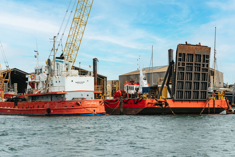 Adelaide: Port River Dolphin en Ships Graveyard Cruise