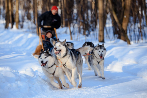 Dog Sledding , Terelj National park ,Chinggis Khaan statue