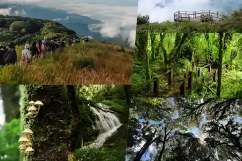 Chiang Mai: Doi Inthanon National Park and Kew Mae Pan Tour