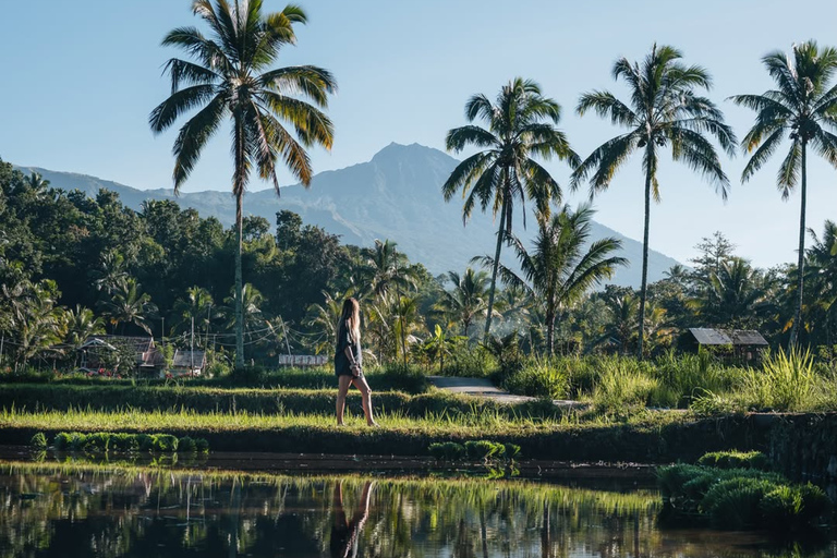 Tetebatu Waterfalls, Rice Terraces & Monkey Forest Day trip