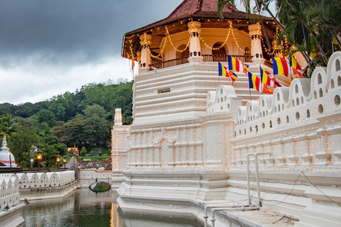 From Sigiriya: Kandy Private Tour with Dambulla Temple