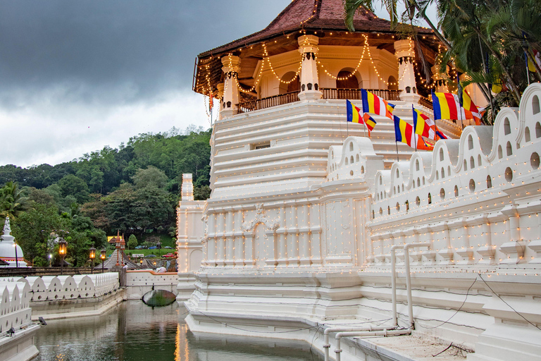 From Sigiriya: Kandy Private Tour with Dambulla Temple
