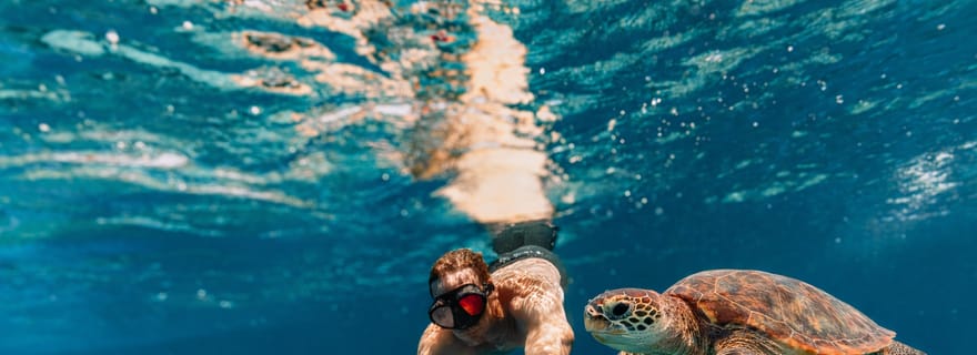 Martinique : Nage avec les tortues en scooter sous-marin électrique