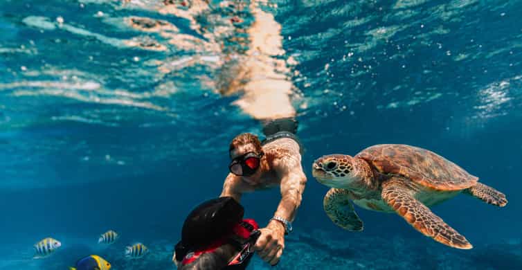 Nager avec les tortues en scooter sous-marin électrique