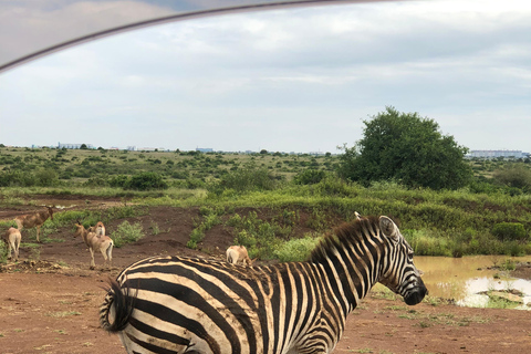 Nairobi Park, olifantenopvangcentrum en giraffencentrum tourZonder toegangsbewijs