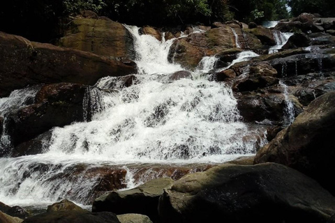 From Colombo: Kanneliya Rainforest Waterfalls Tour with Swim