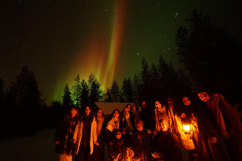 Rovaniemi: Nordlichterjagd mit Hotelabholung