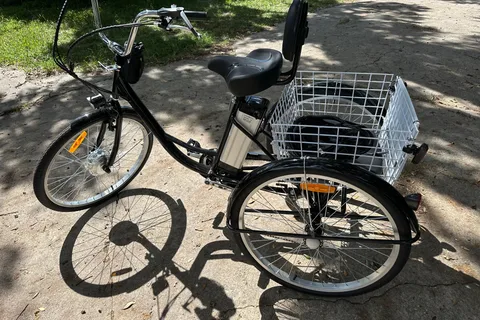 Kissimmee: 8-stündige, vollelektrische Trike Strandtour am See