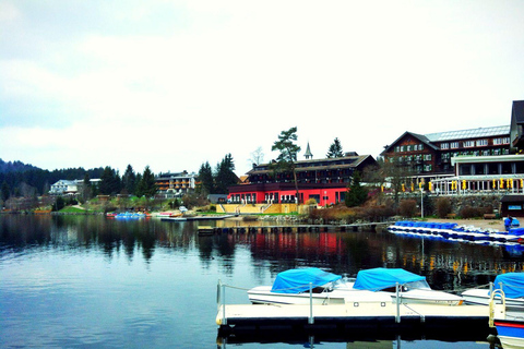 Visite d&#039;une jounée de Zurich au lac Titisee Forêt-Noire