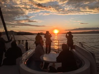 Valência, Cruzeiro de Catamaran com Sunset com coquetel - Housity
