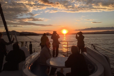 Valence : Croisière en catamaran au coucher du soleil avec cocktail