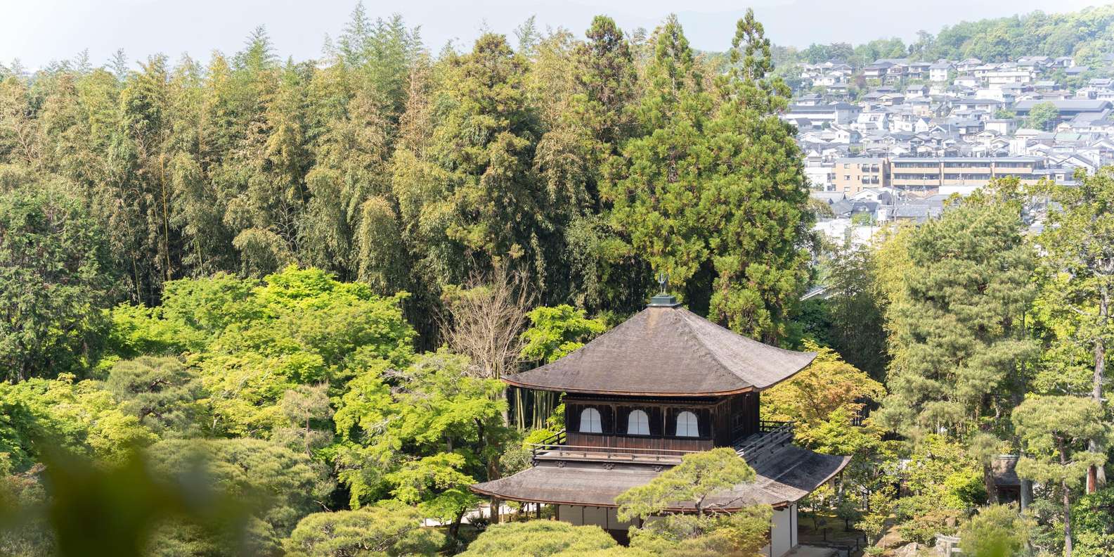 Kyoto experience — temples, geisha, bamboo grove — image 31
