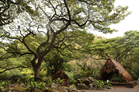 Oahu: Waimea Valley General Admission with Waterfall Access
