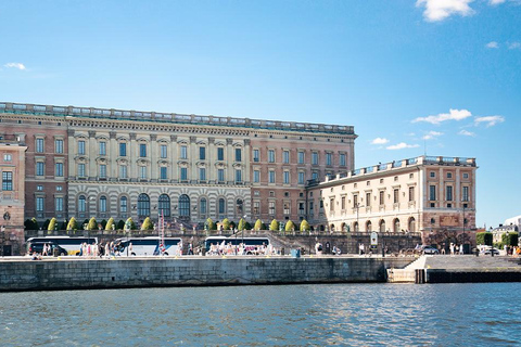 Estocolmo: lo más destacado del archipiélago en barco con guía