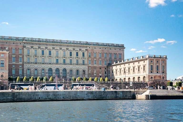 Estocolmo: lo más destacado del archipiélago en barco con guía