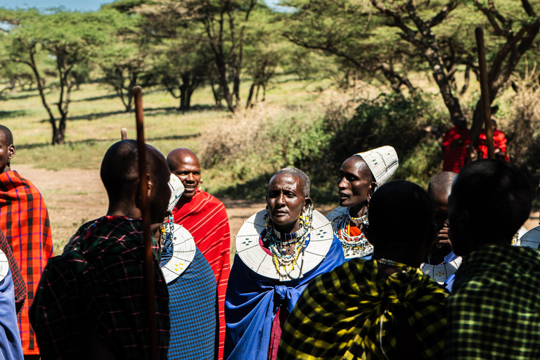 Zanzibar: villaggio Maasai e tartarughe NungwiZanzibar: villaggio Maasai ed escursione a Nungwi - Mattina