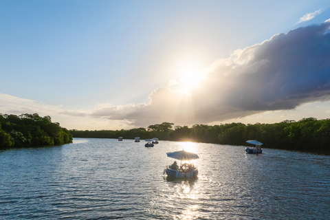 Denarau: Self Drive BBQ eBoat Cruise with Onboard BBQ Fiji Self-Drive Cruise with optional BBQ onboard