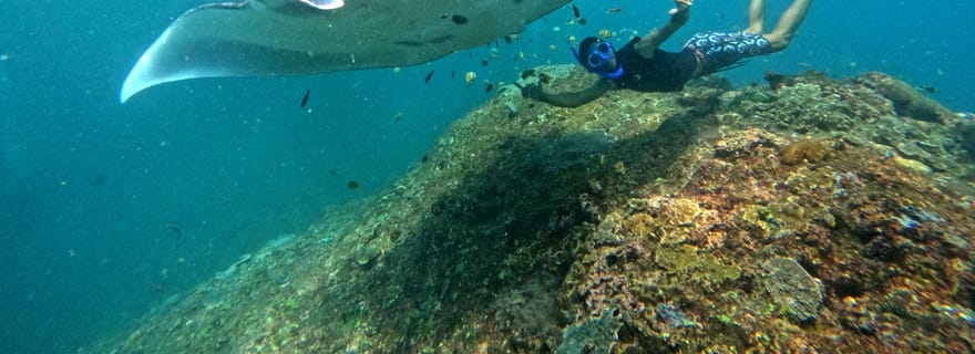 Depuis Penida : excursion snorkeling à Lembongan et déjeuner buffet