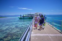 Da Cairns, Cruise di Green Island Intell-Day - Housity