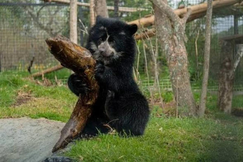 Quito: Zoo Tour with Transportation and Admission or Ticket