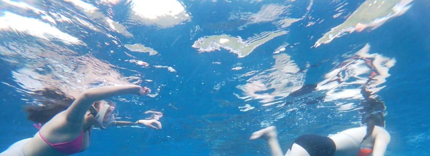 Cebu : expérience requins-baleines à Oslob et canyoning à Kawasan