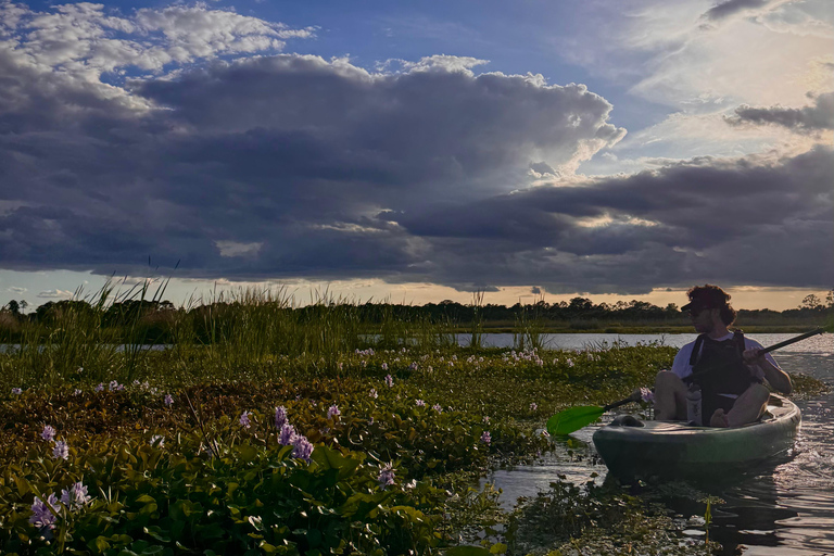 Orlando Sunset Kayak Tour with Guide