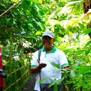 Bali: tour de día completo por los puntos destacados de Bali