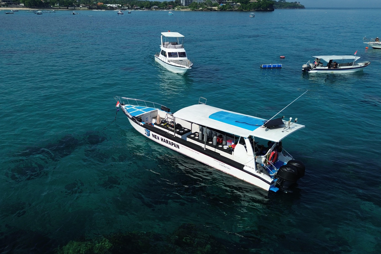 Bali/Nusa Penida: Private Snorkeling With Guide & West Tour Transfer from Sanur Area