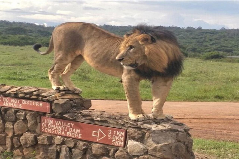 Parque Nacional de Nairobi, Orfanato de Elefantes y Centro de Jirafas