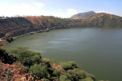 Debre Zeyit in Your Ear Crater Lakes with a Live Local Guide