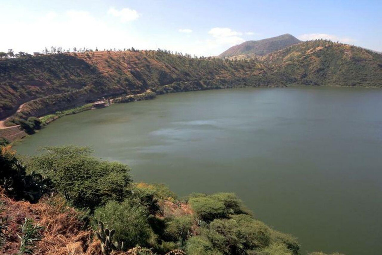 Debre Zeyit in Your Ear Crater Lakes with a Live Local Guide