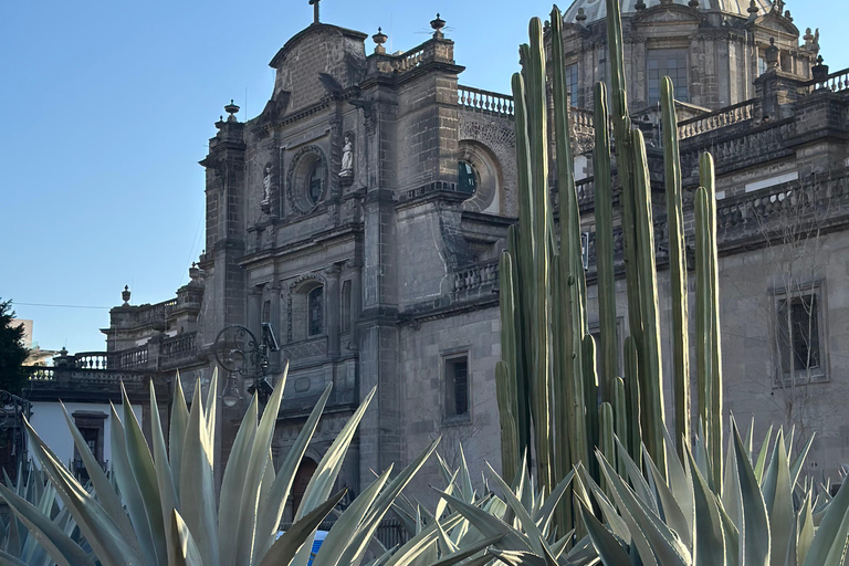 Mexico : visite à pied du centre-ville, un aperçu du passé et du présent.Mexico : visite guidée à pied du centre-ville, un aperçu du passé au présent