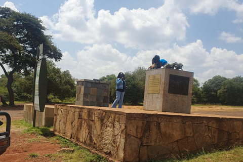 Nairobi: National Park Layover Tour mit Flughafentransfers.