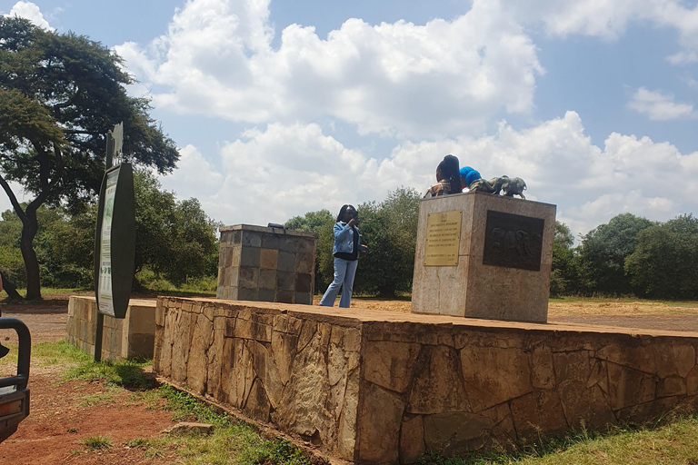 Nairobi: National Park Layover Tour mit Flughafentransfers.