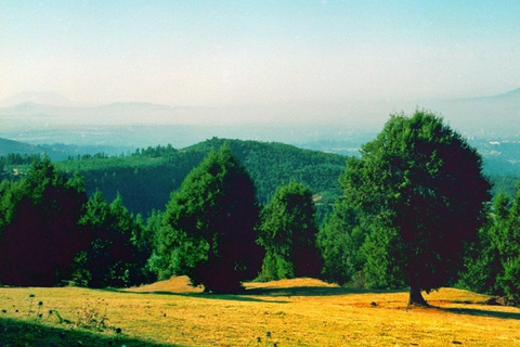 Addis Ababa: Entoto Hills Scenic Drive