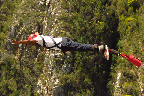 Plettenberg Bay: Jump/Winch-Ride & Skywalk Tour Experience